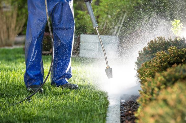 Curb Cleaning in Newport Beach