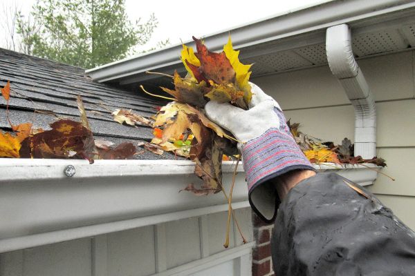 Eaves Cleaning in Newport Beach