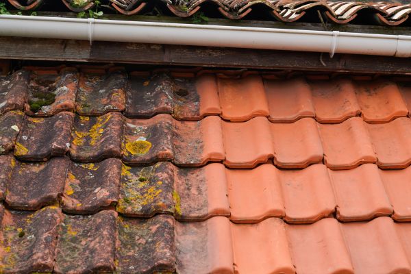 Industrial Roof Cleaning in Newport Beach
