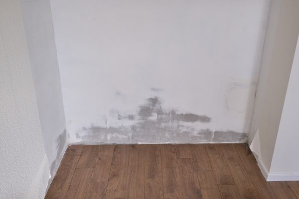 Wall Stain Removal